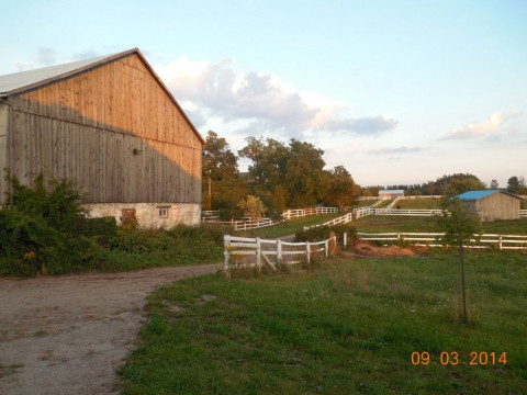 boarding stables puslinch