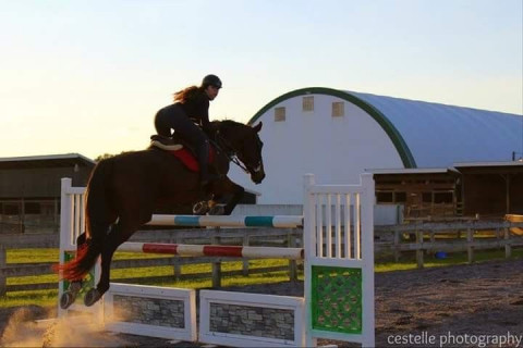 Visit Walders Way Equestrian Center