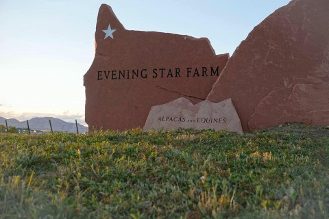 Visit Evening Star Farms