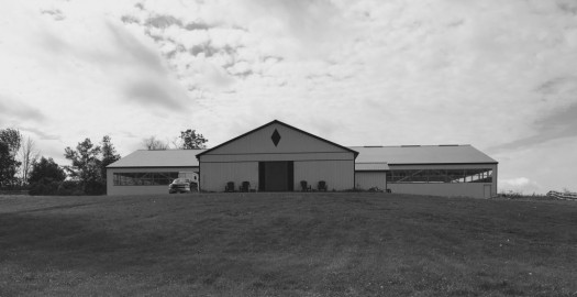 Carrick Hill Equestrian - Horse Boarding Farm in Roseneath 