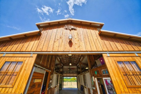 Horse Farms For Sale Or Lease In Texas