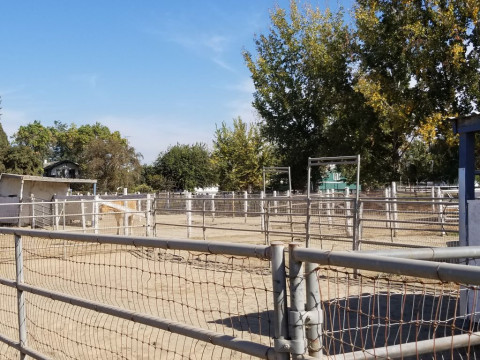 Horse Boarding In Ceres California Stanislaus County