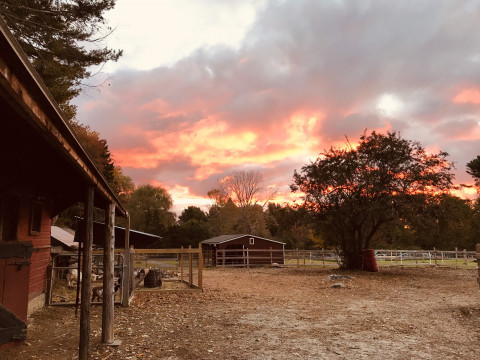 Horse Farms For Sale Or Lease In Willington Connecticut Tolland