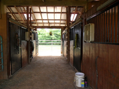 Horse Farms For Sale Or Lease In Lexington Kentucky Fayette County