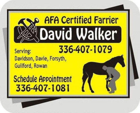 Visit David Walker, Certified Farrier