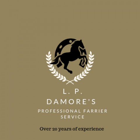 Visit L.P Damore's Professional Farrier Service
