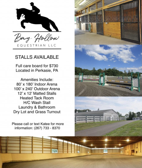 Visit Bay Hollow Equestrian