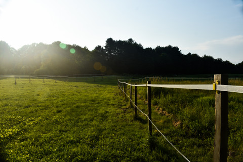 Horse Boarding In Saco Maine York County