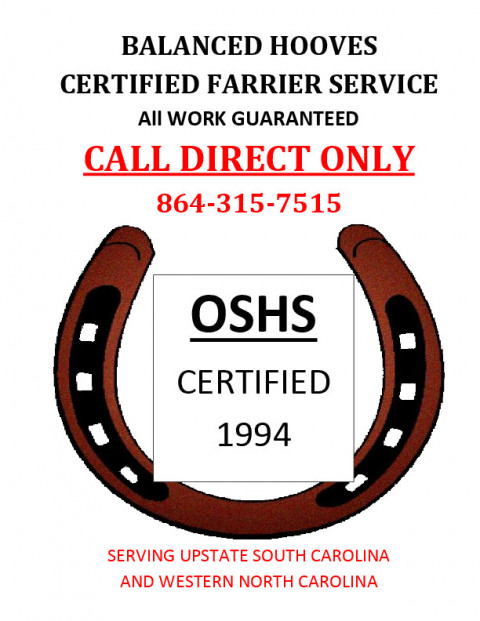 Visit Balanced Hooves Certified Farrier Service