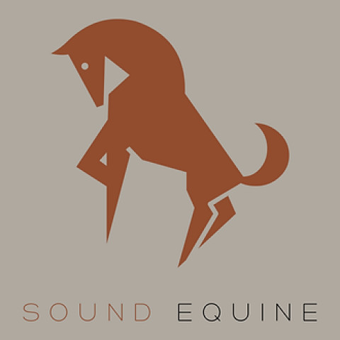 Visit Sound Equine