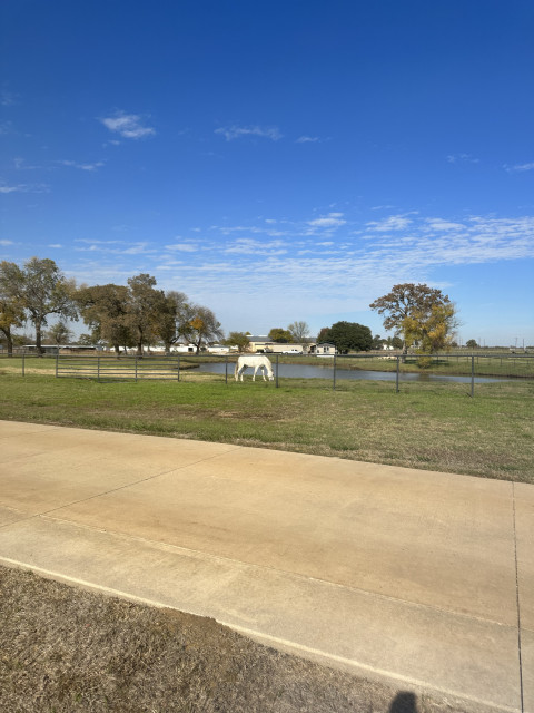 Visit NORTH HAVEN EQUESTRIAN