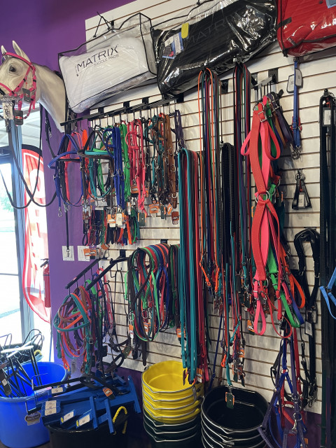 Women's Riding Apparel - The Connected Rider San Antonio English Tack Store