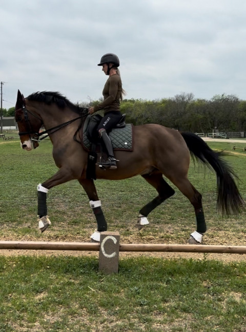 Visit FEI Dressage trainer and instructor