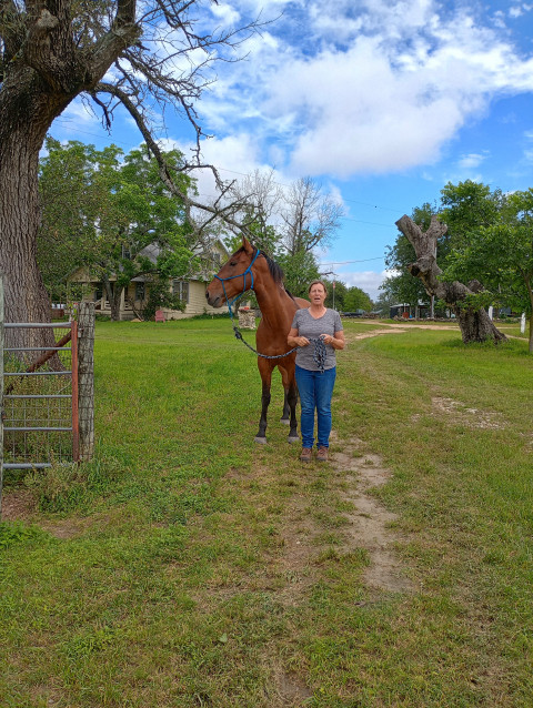 Visit Double Bar S Stables