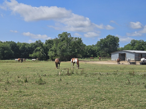 Visit Palmerosa Ranch