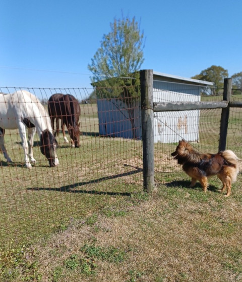 Visit Big Sky Farm