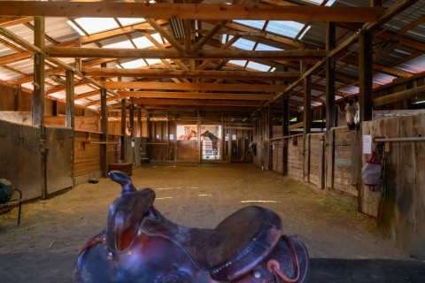 Visit Little Reata Stables