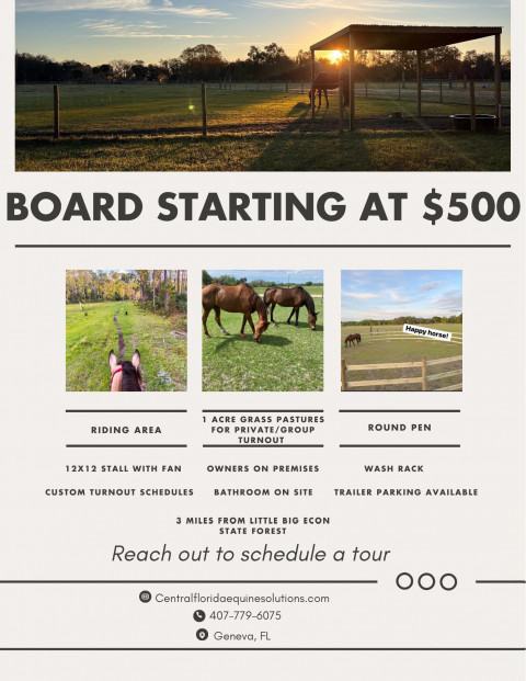 Visit Central Florida Equine Solutions