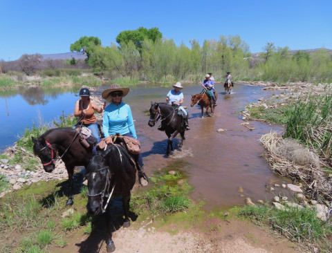 Visit Sedona Arizona Horse Boarding & RV hookups & Trail Riding