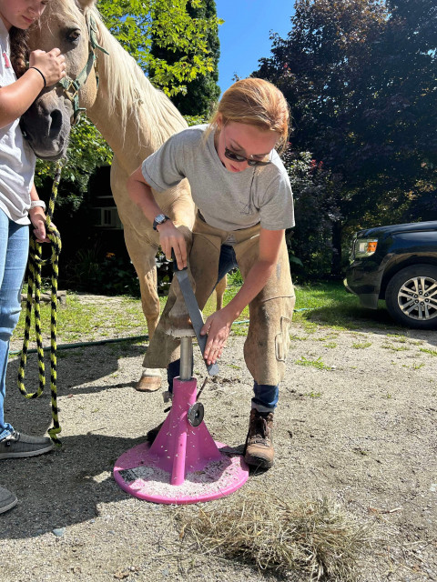 Visit S. Robshaw Farrier Service