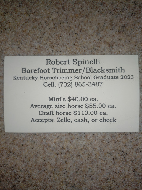 Visit Robert Spinelli