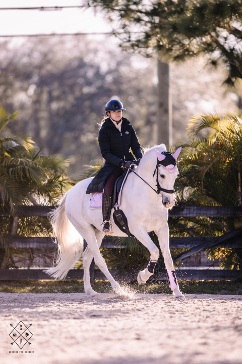 Visit Traveling Dressage Trainer: USDF Bronze and Silver Medalist