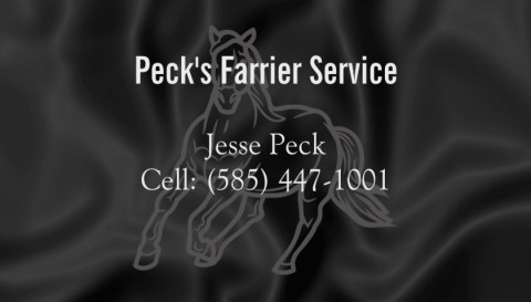 Visit Peck's Farrier Service