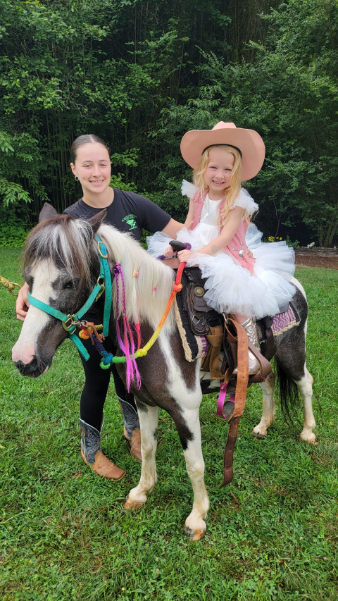 Visit HORSING AROUND THE BARN