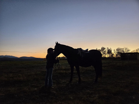 Visit Gale Force Kennel and Stable