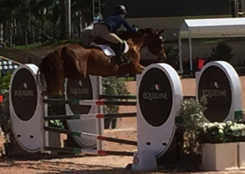 Visit Hunter Jumper Equitation Riding Lessons