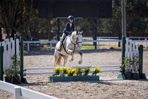 Visit Arrow A Farms- riding lessons