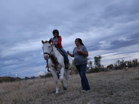 Visit AB Equestrian in Laurel Montana