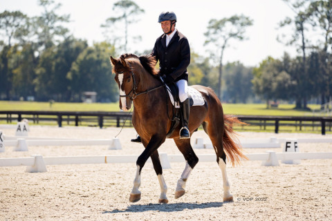 Visit Dream Horse Equestrian Center