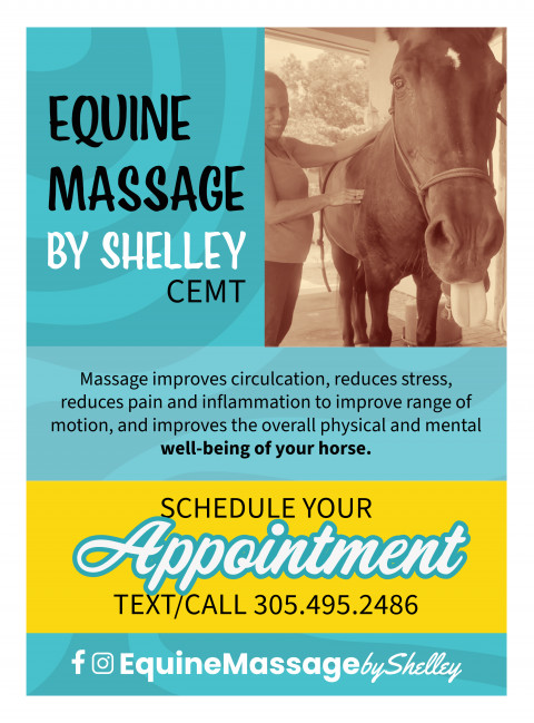 Visit Equine Massage by Shelley