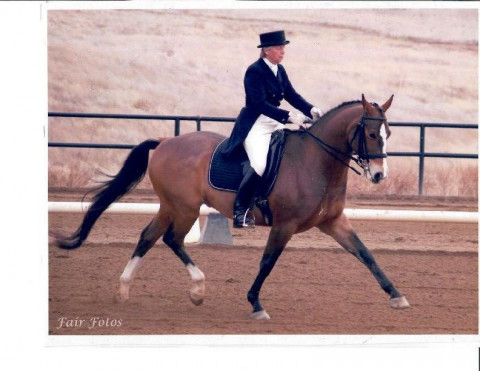 Visit Peggy Kelly Dressage Trainer in Grass Valley, CA.