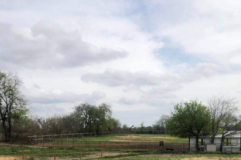 Visit Horse Boarding Available (Plano area)