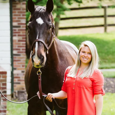 Visit Solidify the foundation with Dressage Training