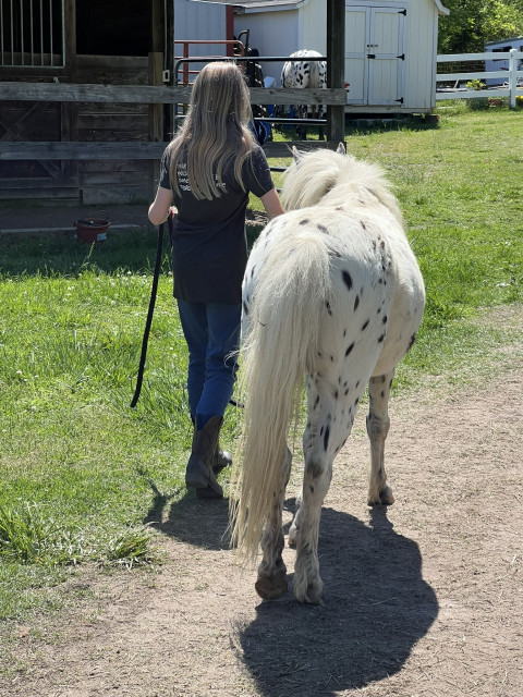 Visit Horsemanship Camps