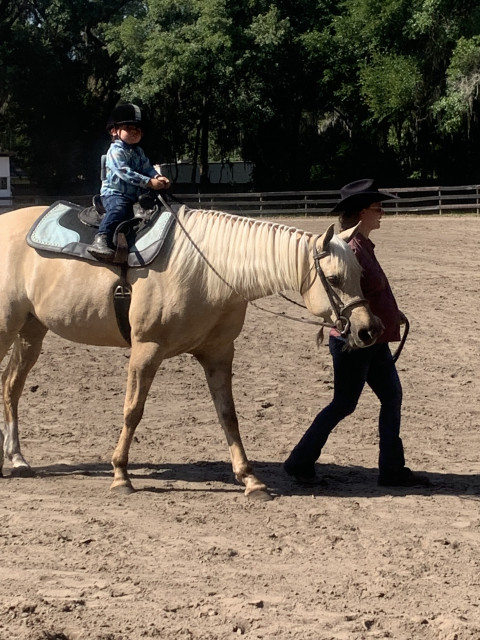 Visit Equestrian Training Center of Ocala