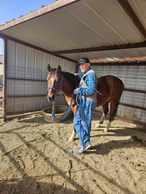 Visit Barrett Farrier Service Steve Barrett CJF