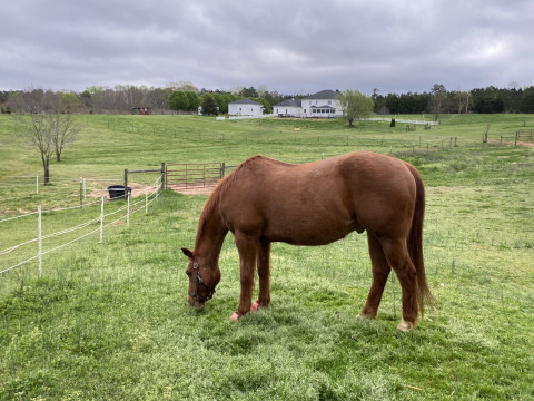 Visit River Birch Run Stables