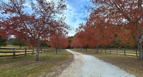 Visit Boarding in Travelers Rest South Carolina