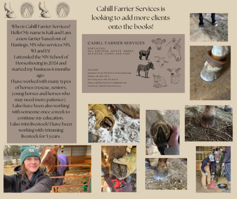 Visit Cahill Farrier Services